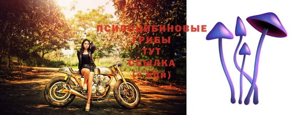 ALPHA-PVP Алексин