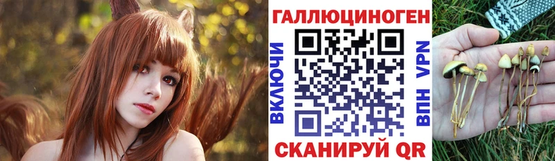 Галлюциногенные грибы Cubensis  наркота  Котельники 