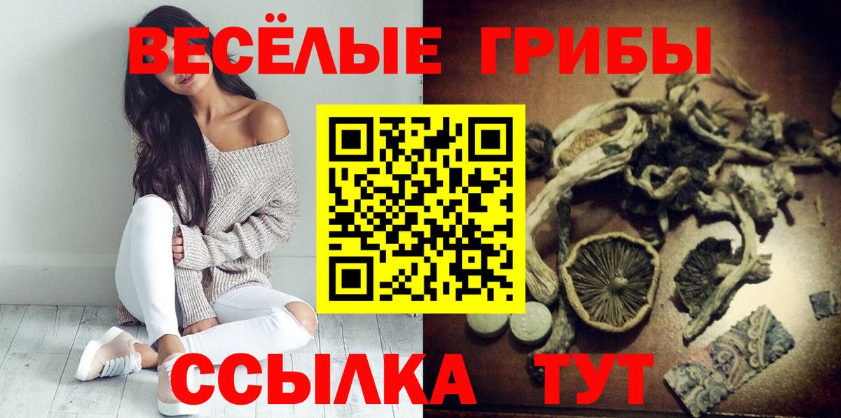 что такое наркотик  Псилоцибиновые грибы ЛСД  Котельники  Вход с VPN  Псилоцибиновые грибы Cubensis 