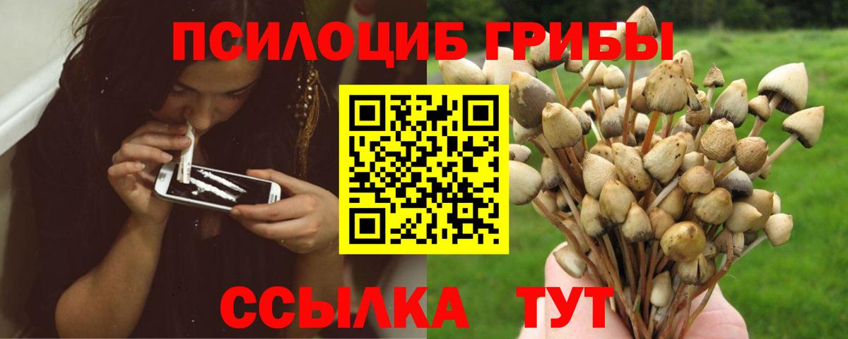Галлюциногенные грибы мухоморы Котельники